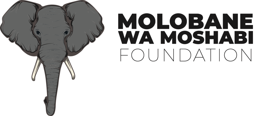 Molobane Wamoshabi Holdings